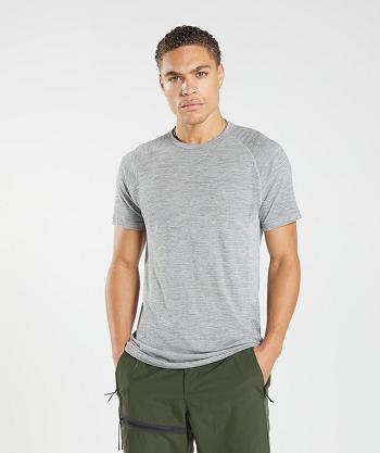 Pánské T Shirts Gymshark Retake Seamless Světle Šedé Černé | CZ 2469FDN